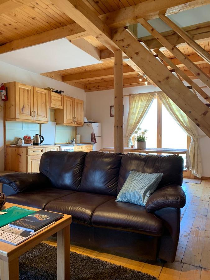 Mountain Vista Chalet Žabljak Zewnętrze zdjęcie